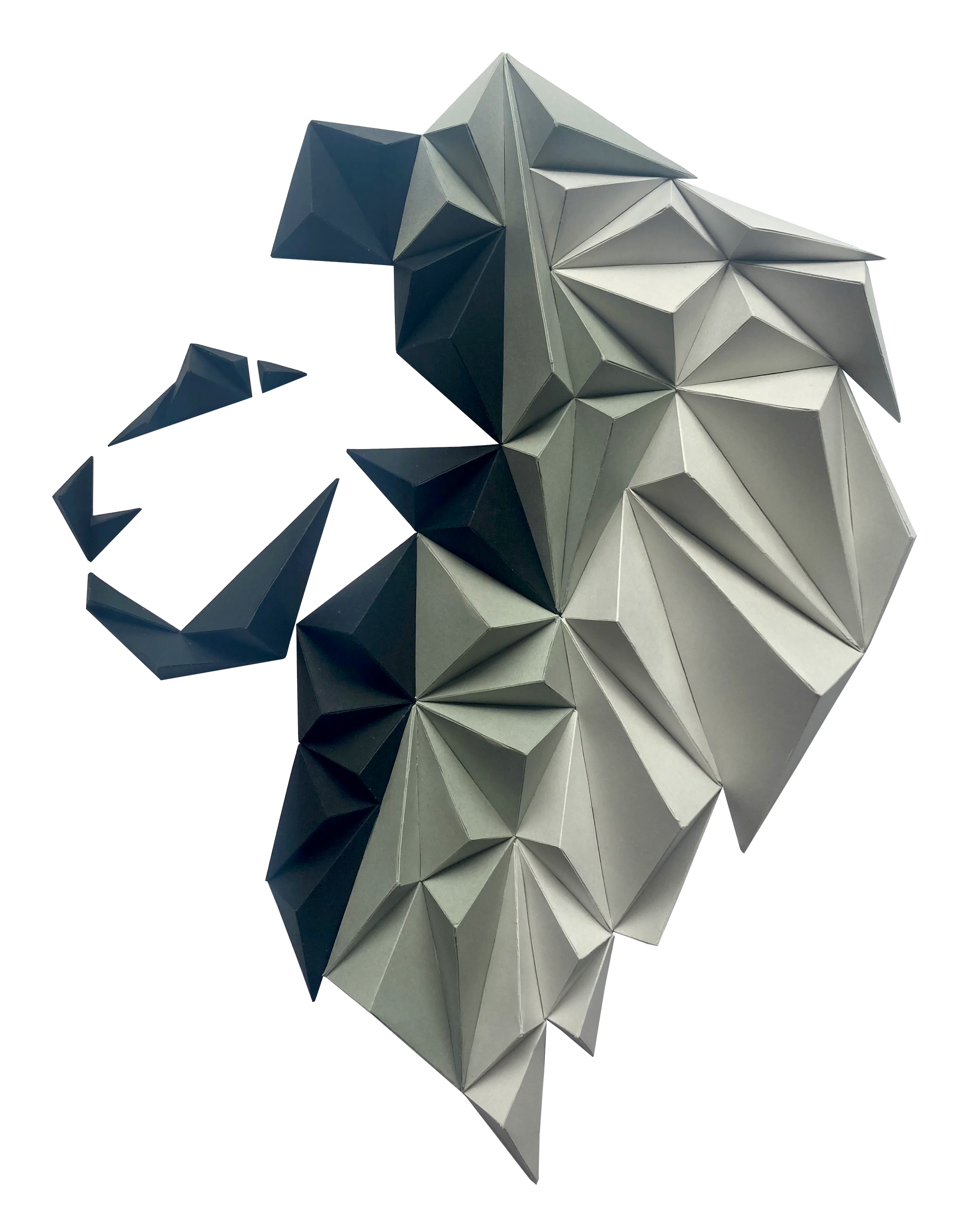 Lion-0