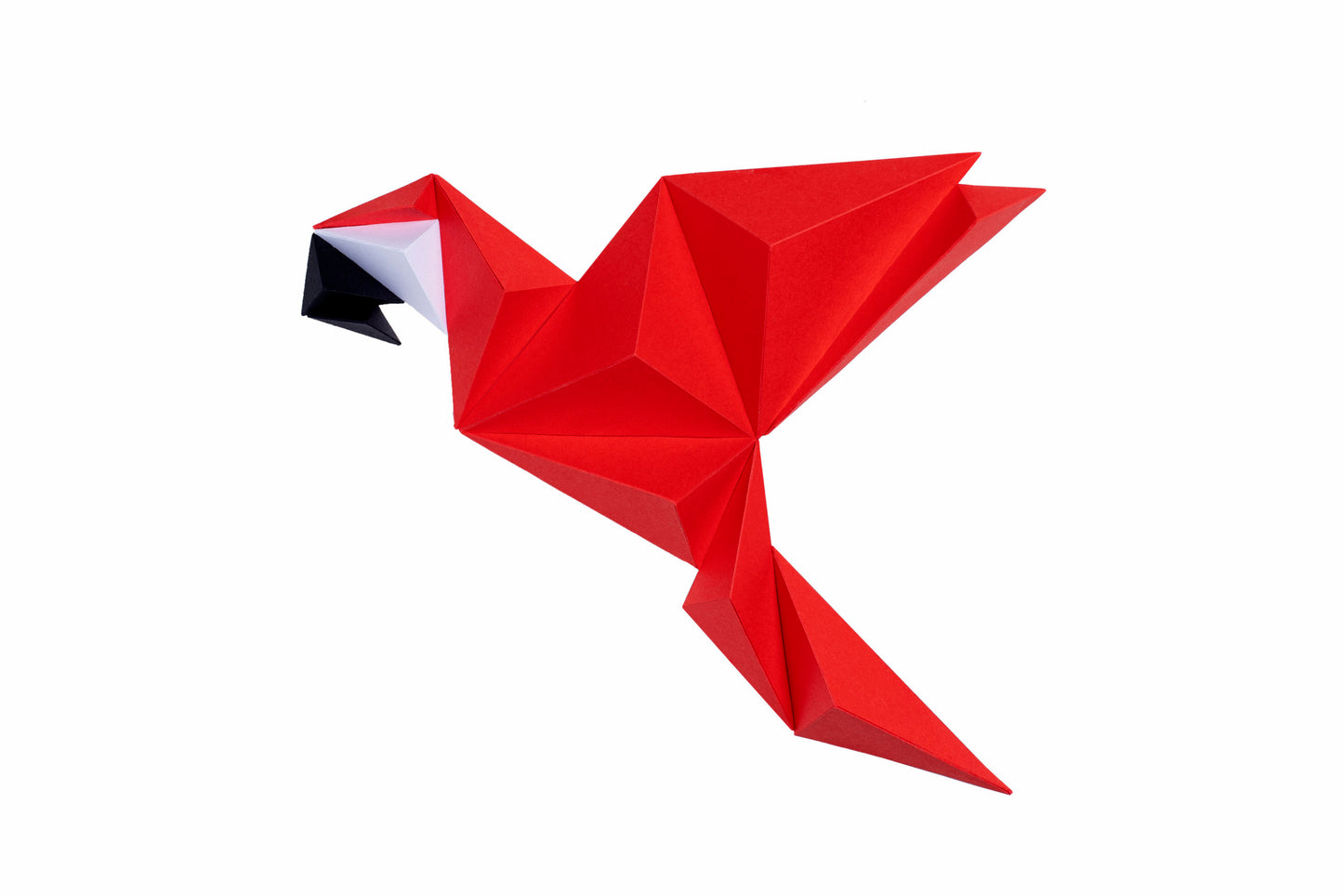 Parrot-0