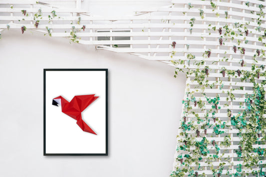 Parrot-1