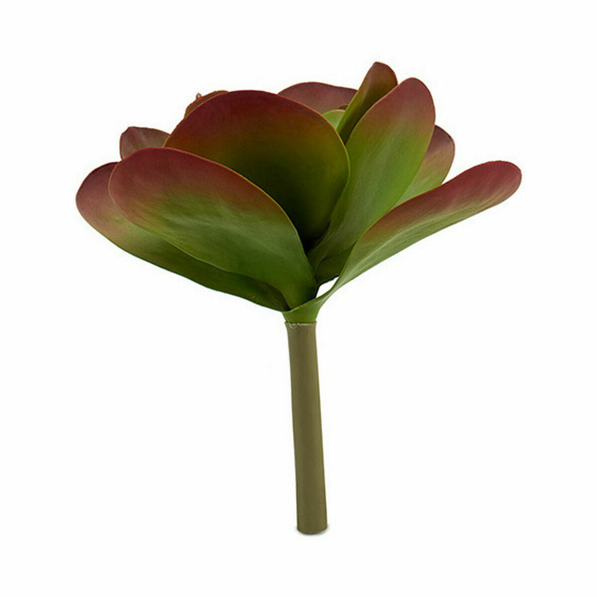 Decorative Plant Ibergarden YD0001 Plastic Sheets Large 27 x 29 x 27 cm Bicoloured (6 Units)-2