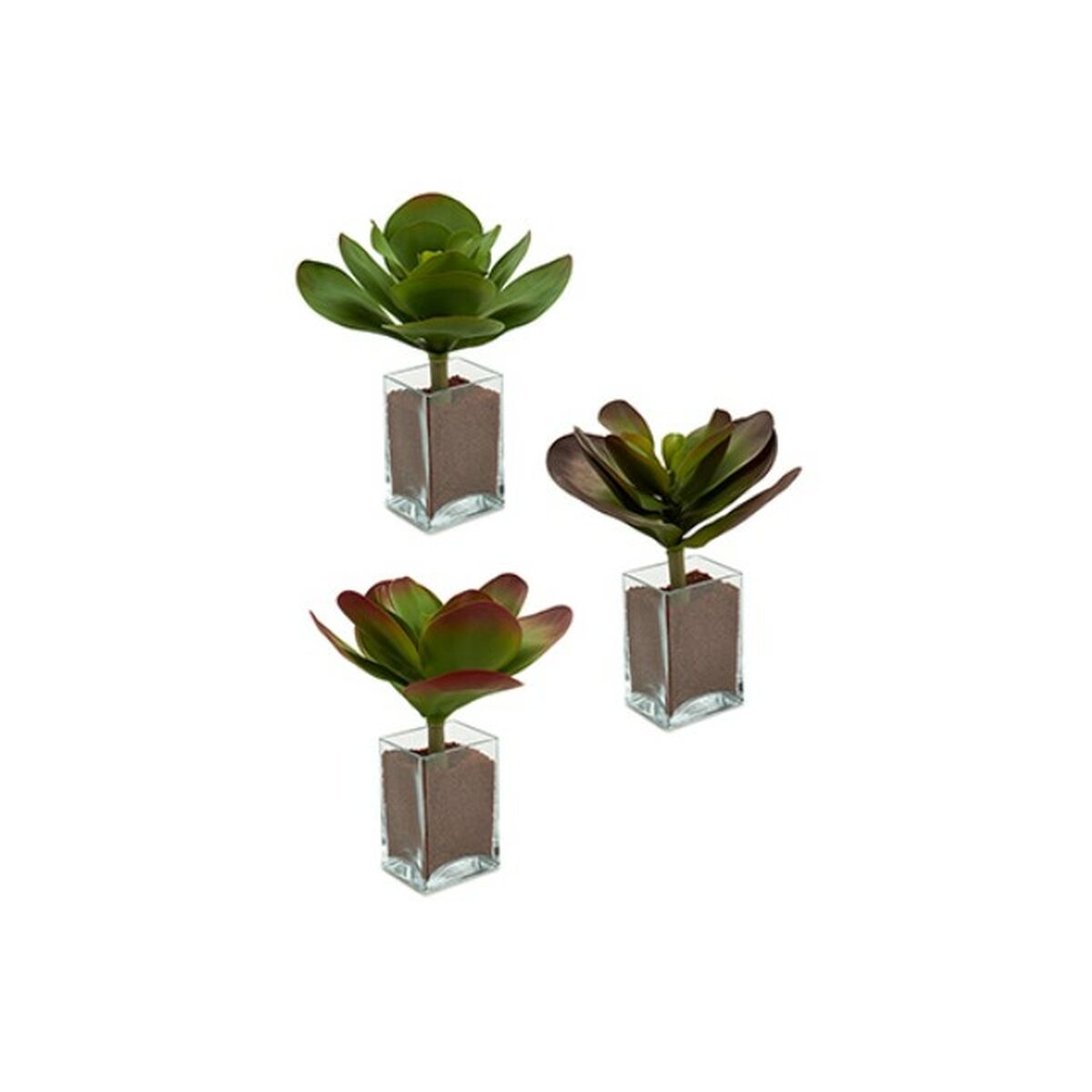 Decorative Plant Ibergarden YD0001 Plastic Sheets Large 27 x 29 x 27 cm Bicoloured (6 Units)-1