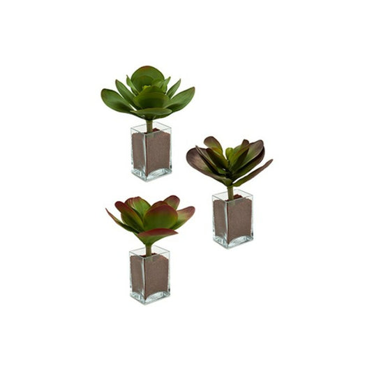 Decorative Plant Ibergarden YD0001 Plastic Sheets Large 27 x 29 x 27 cm Bicoloured (6 Units)-1