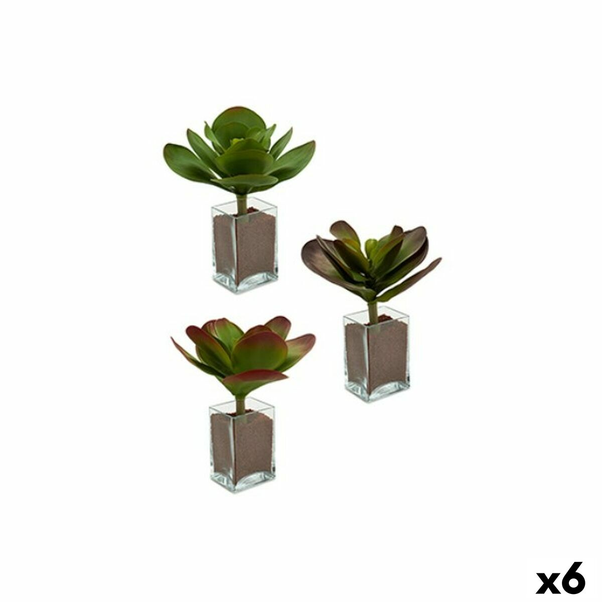 Decorative Plant Ibergarden YD0001 Plastic Sheets Large 27 x 29 x 27 cm Bicoloured (6 Units)-0