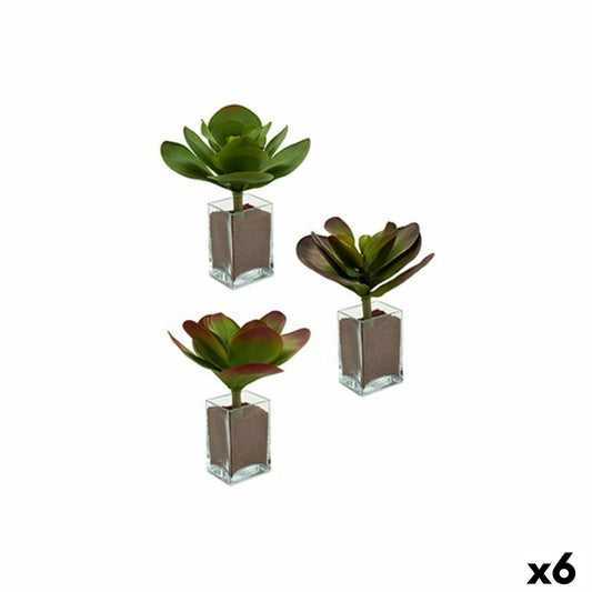 Decorative Plant Ibergarden YD0001 Plastic Sheets Large 27 x 29 x 27 cm Bicoloured (6 Units)-0