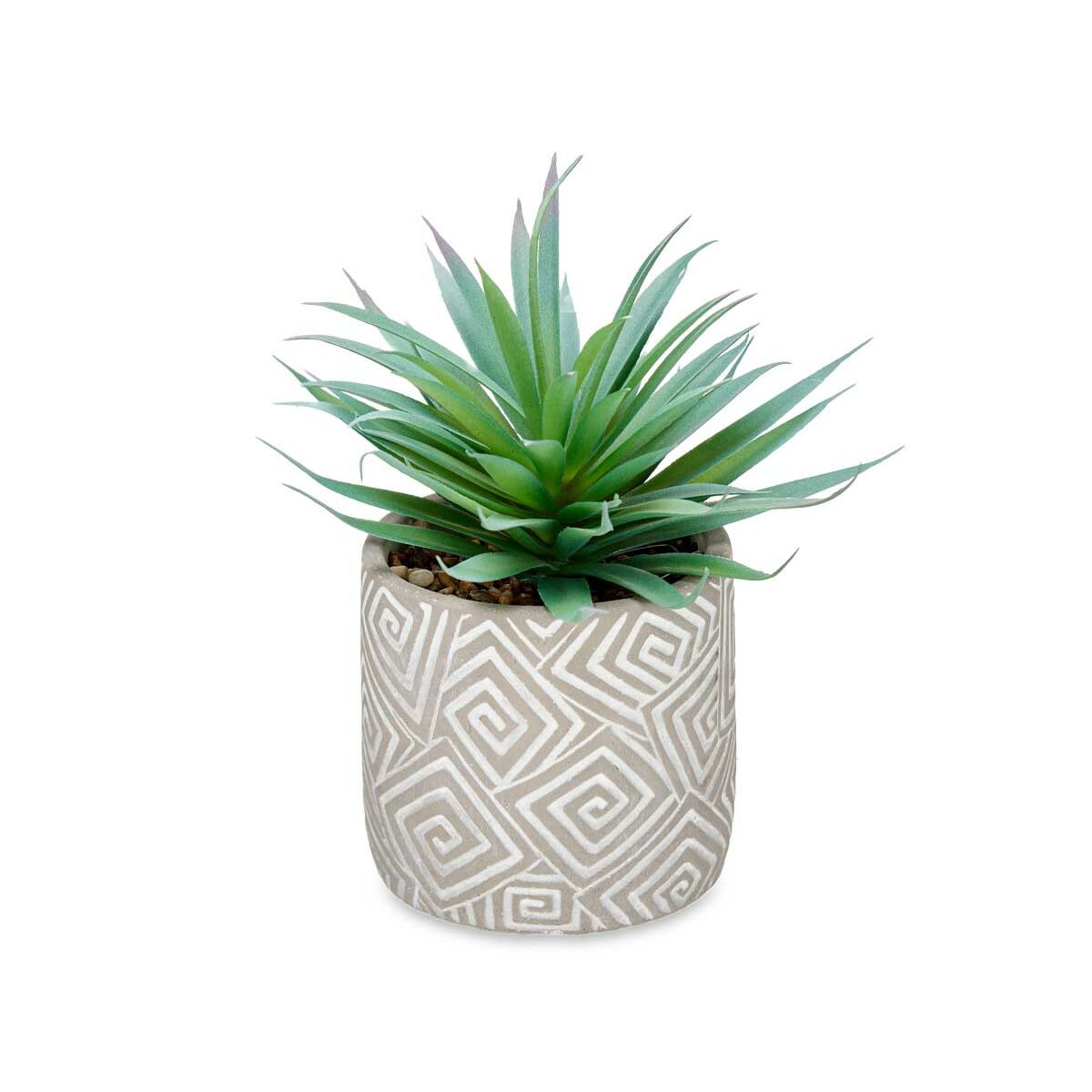 Decorative Plant Ibergarden QY-H012 Wood Plastic Cement Succulent 17 x 21 x 17 cm (8 Units)-2