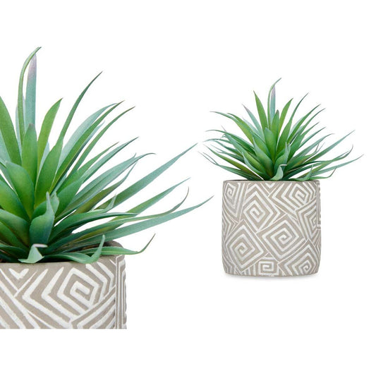 Decorative Plant Ibergarden QY-H012 Wood Plastic Cement Succulent 17 x 21 x 17 cm (8 Units)-1