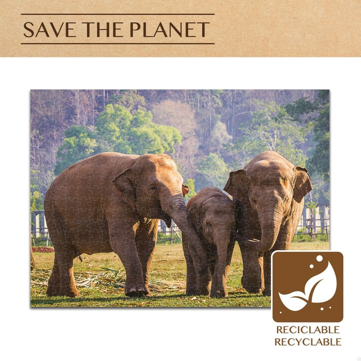 Puzzle Colorbaby Elephant 500 Pieces 6 Units 61 x 46 x 0,1 cm-4