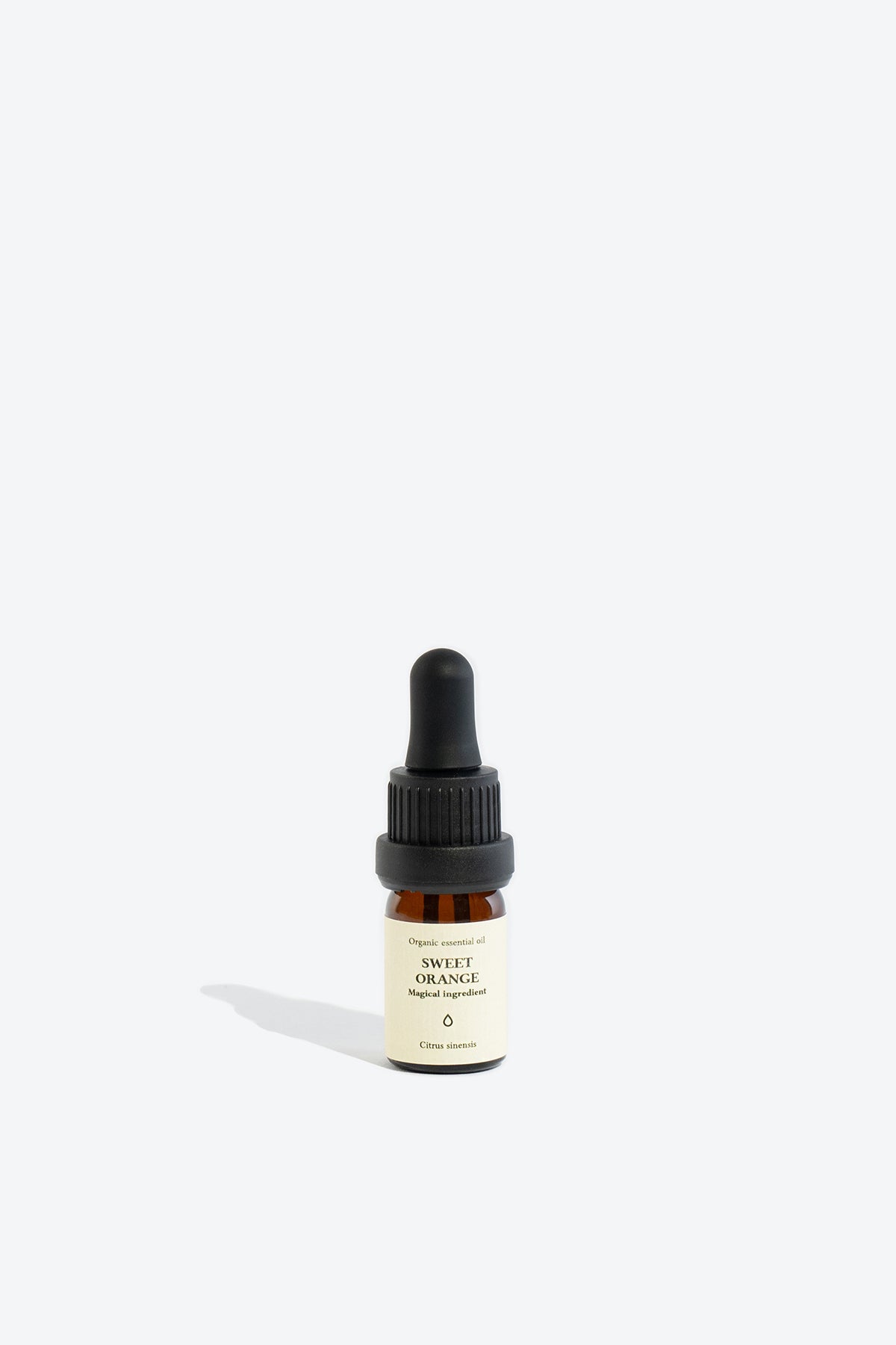 Sweet orange essential oil SMELLS LIKE SPELLS Citrus sinensis