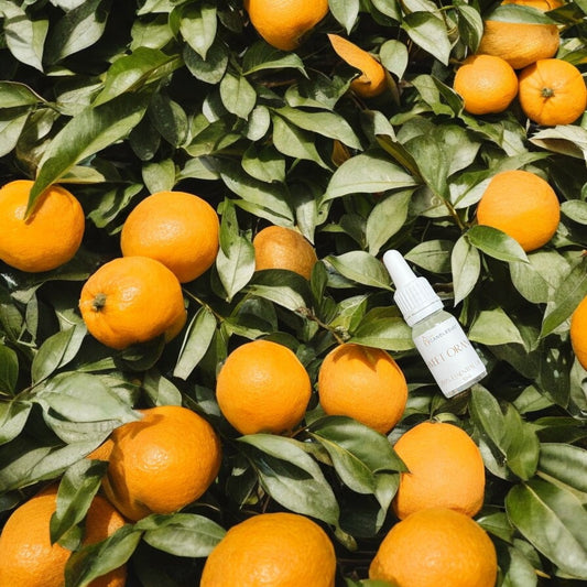 Sweet orange Essential oil 10ml/0.34oz-0