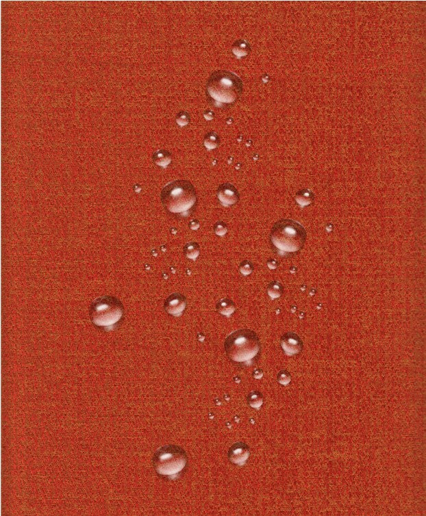 COVER | Salvadivano con PENISOLA - ARMOR mattone-3