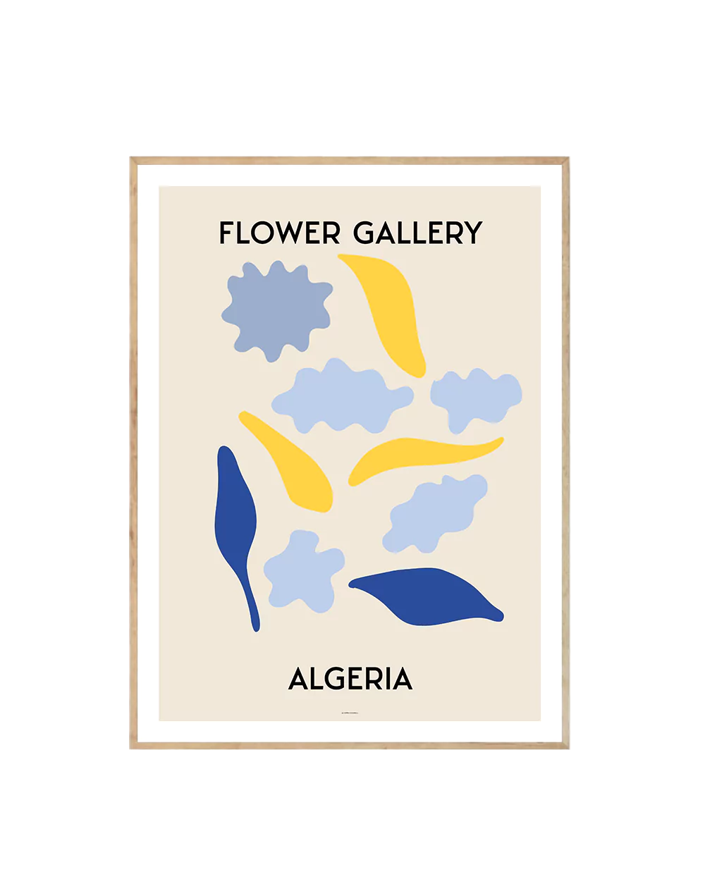 Flower Gallery Algeria-0