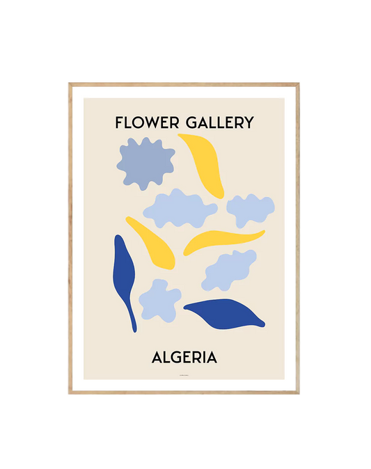 Flower Gallery Algeria-0